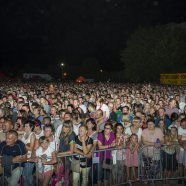 Dożynki - Dożynki Gminno-Powiatowe 2015 - Połaniec