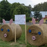 Dożynki - Dożynki 2016 - Zdzieci Nowe
