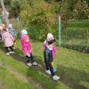 3. Spacer po działkach
