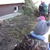 24 Kotki szukają przebiśniegów