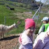 Mini ZOO