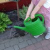 Dzień niezapominajki