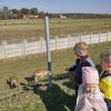 Wycieczka - Zwierzyniec Ostoja Słowianka