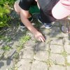 11.Dzień pustej klasy