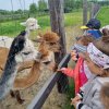 18. Wycieczka do Woli Baranowskiej