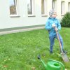 6. Dzień drzewa