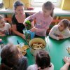 Jeżyki robią koktajl